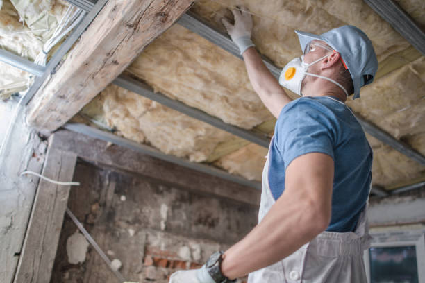 Best Commercial Insulation in Ninnekah, OK