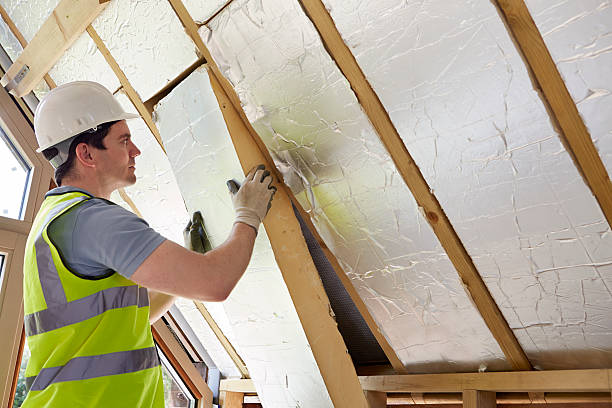 Best Eco-Friendly Insulation in Ninnekah, OK